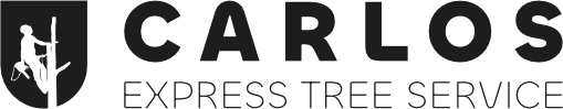 Carlos Tree Logo